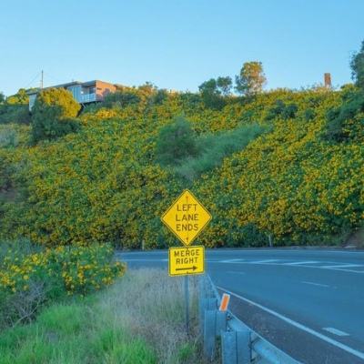 老皇冠登录入口welcome