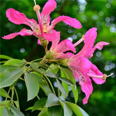 星空体育官方网站手机app下载截图