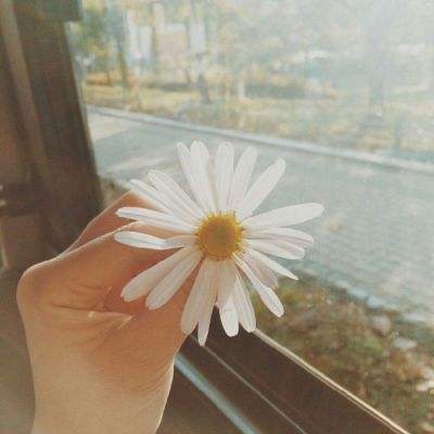 998娱乐彩票安卓APPapp下载