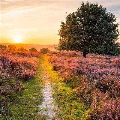 星空体育官方网站手机app下载截图