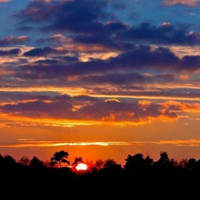 kdpay钱包app最新版本