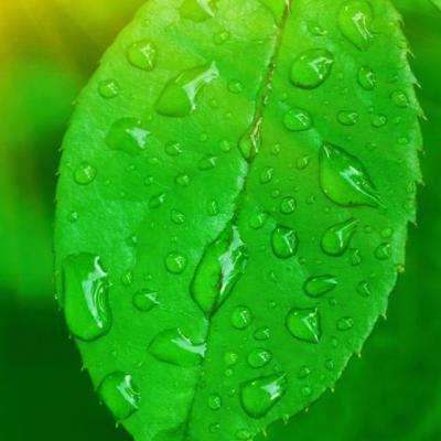 安博体育·(中国)官方网站下载手机版