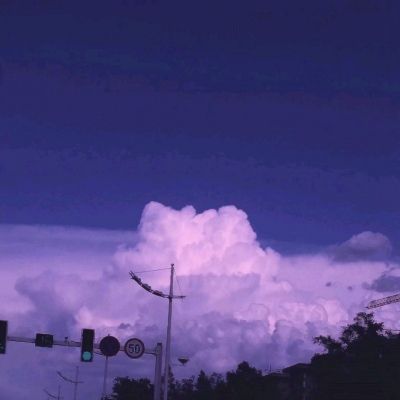 大四喜手机app下载