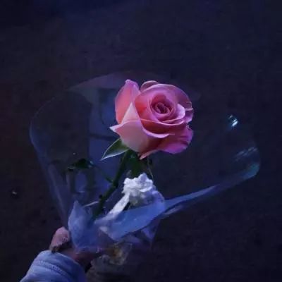 快盈lV购彩大厅手机app下载